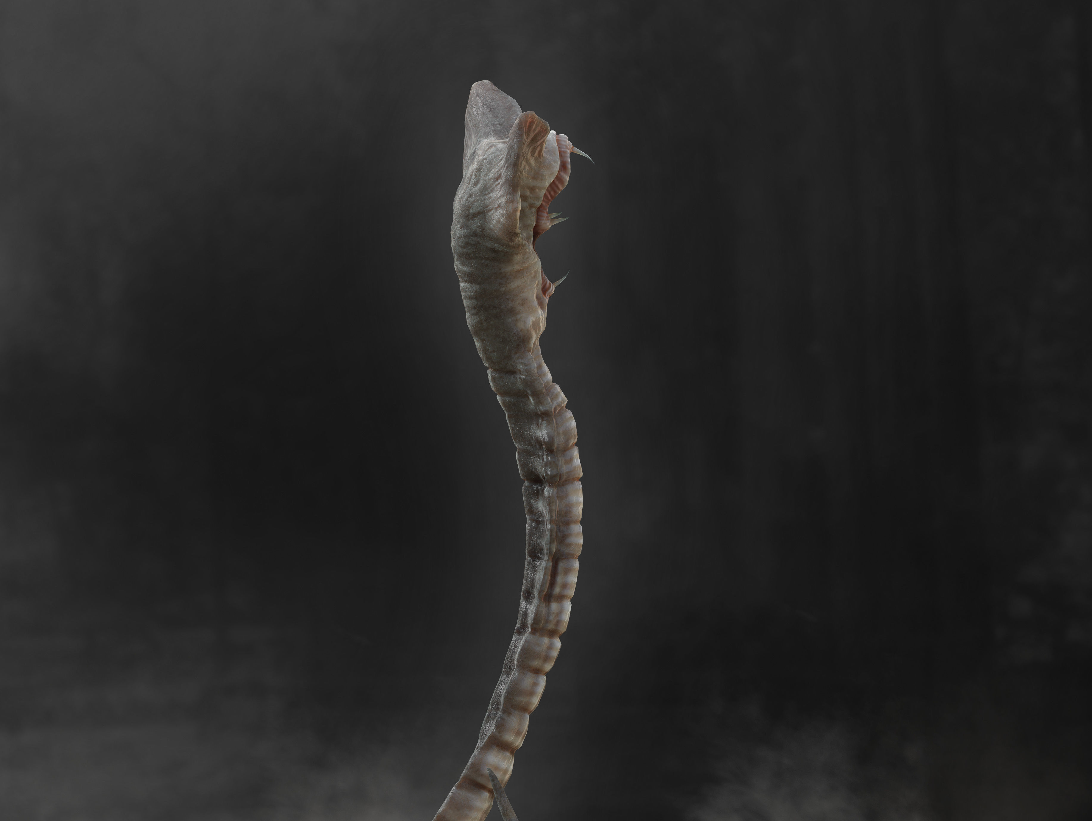 3D model Hammerpede - Prometheus VR / AR / low-poly rigged | CGTrader