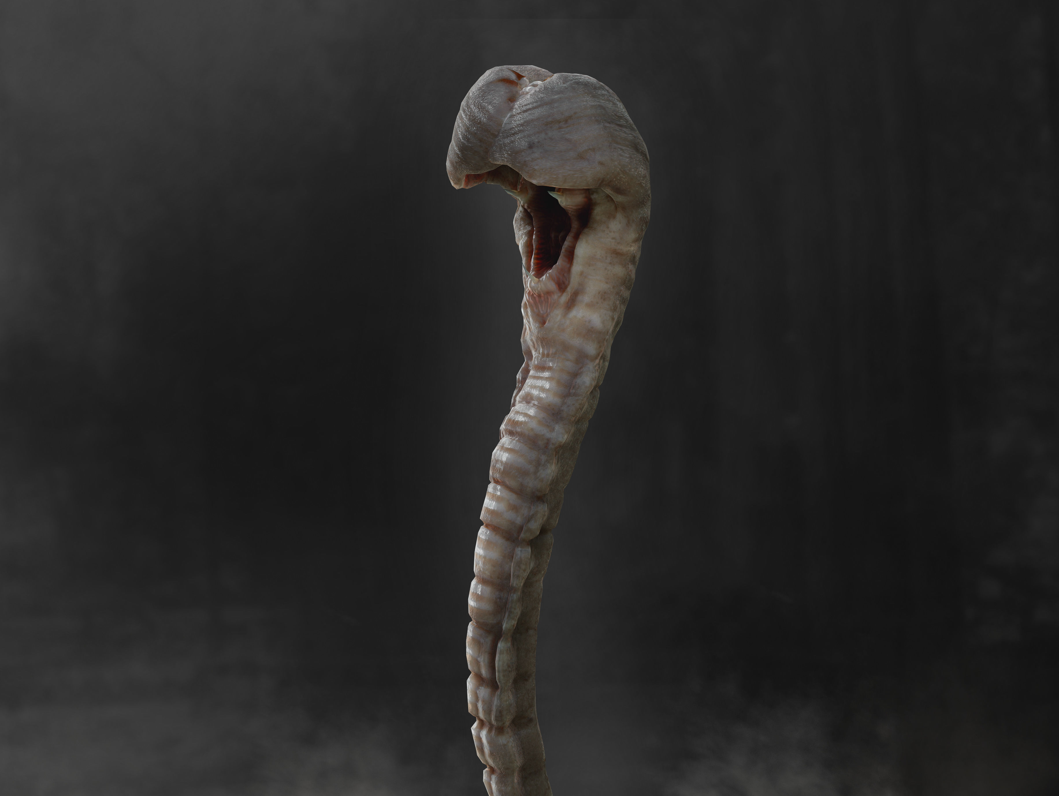 3D model Hammerpede - Prometheus VR / AR / low-poly rigged | CGTrader