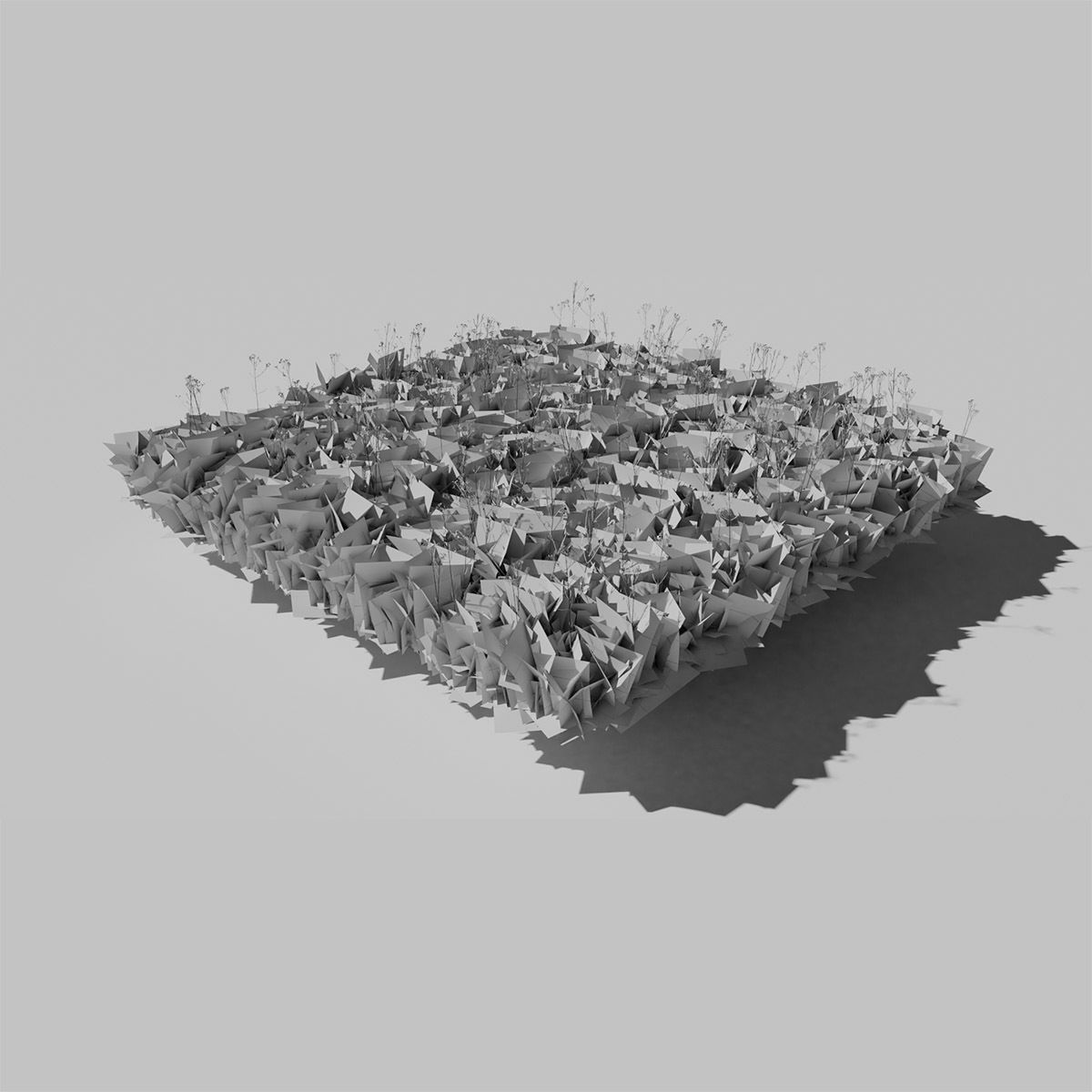 Dry St Johns Wort and Free Gift 3D model_6