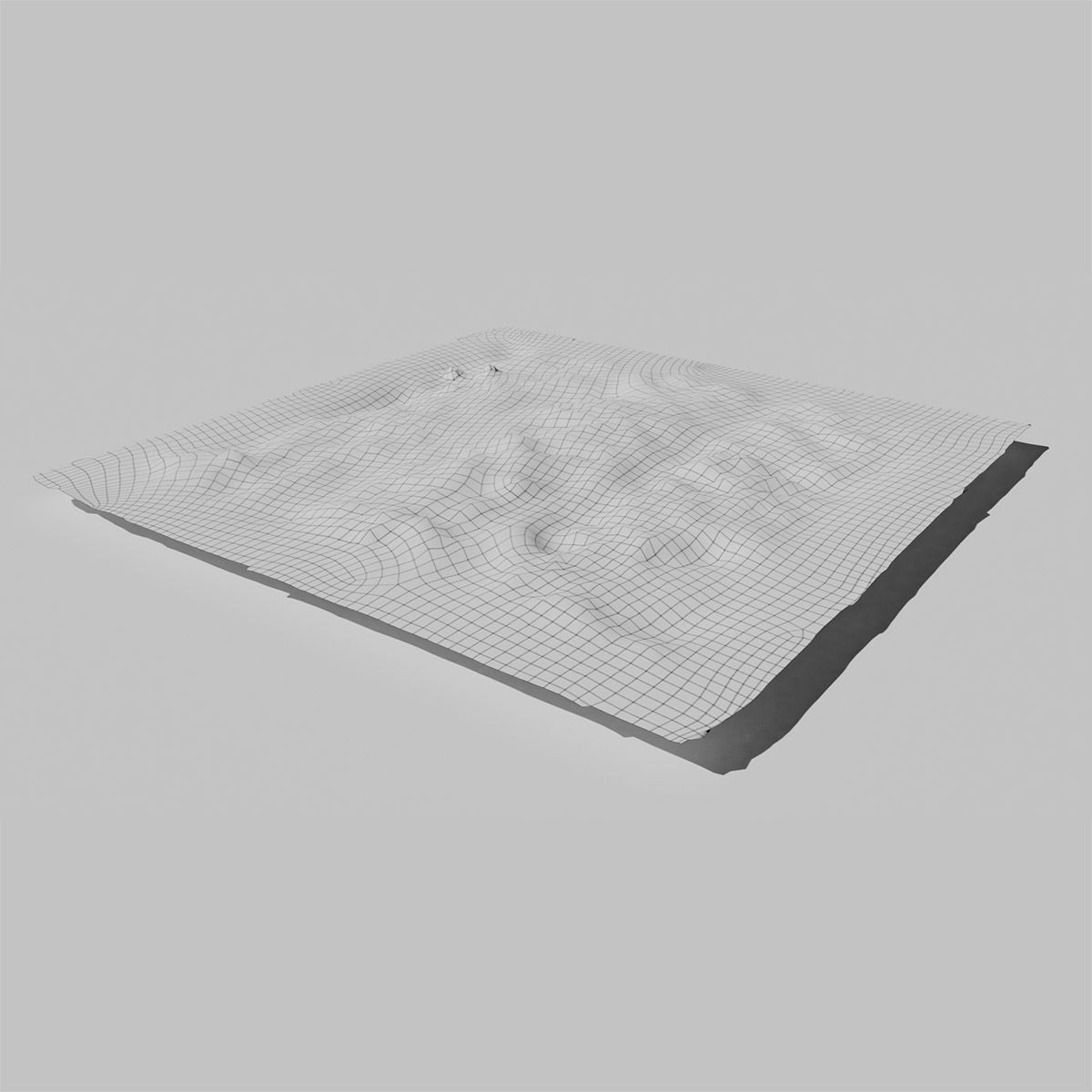 Dry St Johns Wort and Free Gift 3D model_8