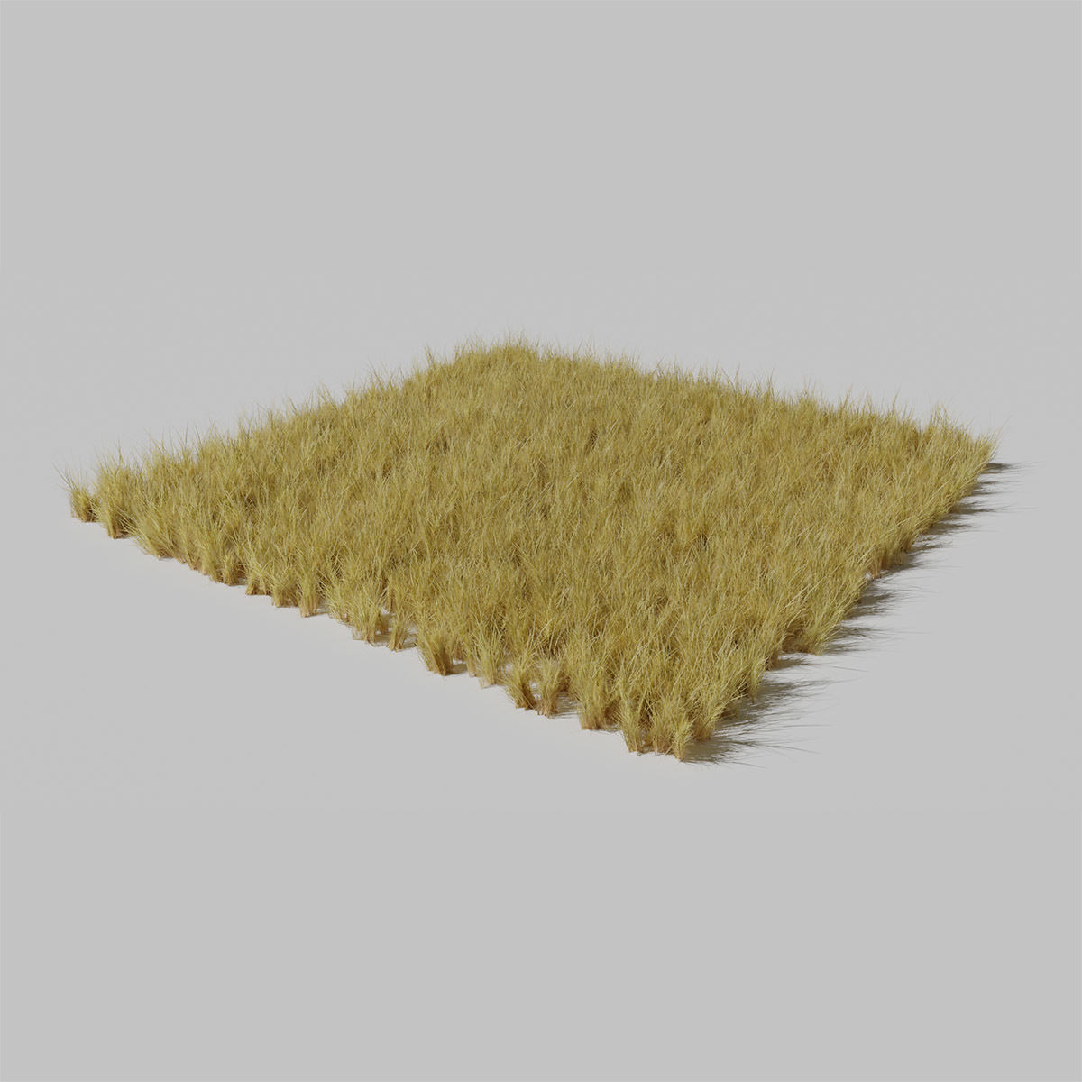 Dry St Johns Wort and Free Gift 3D model_13