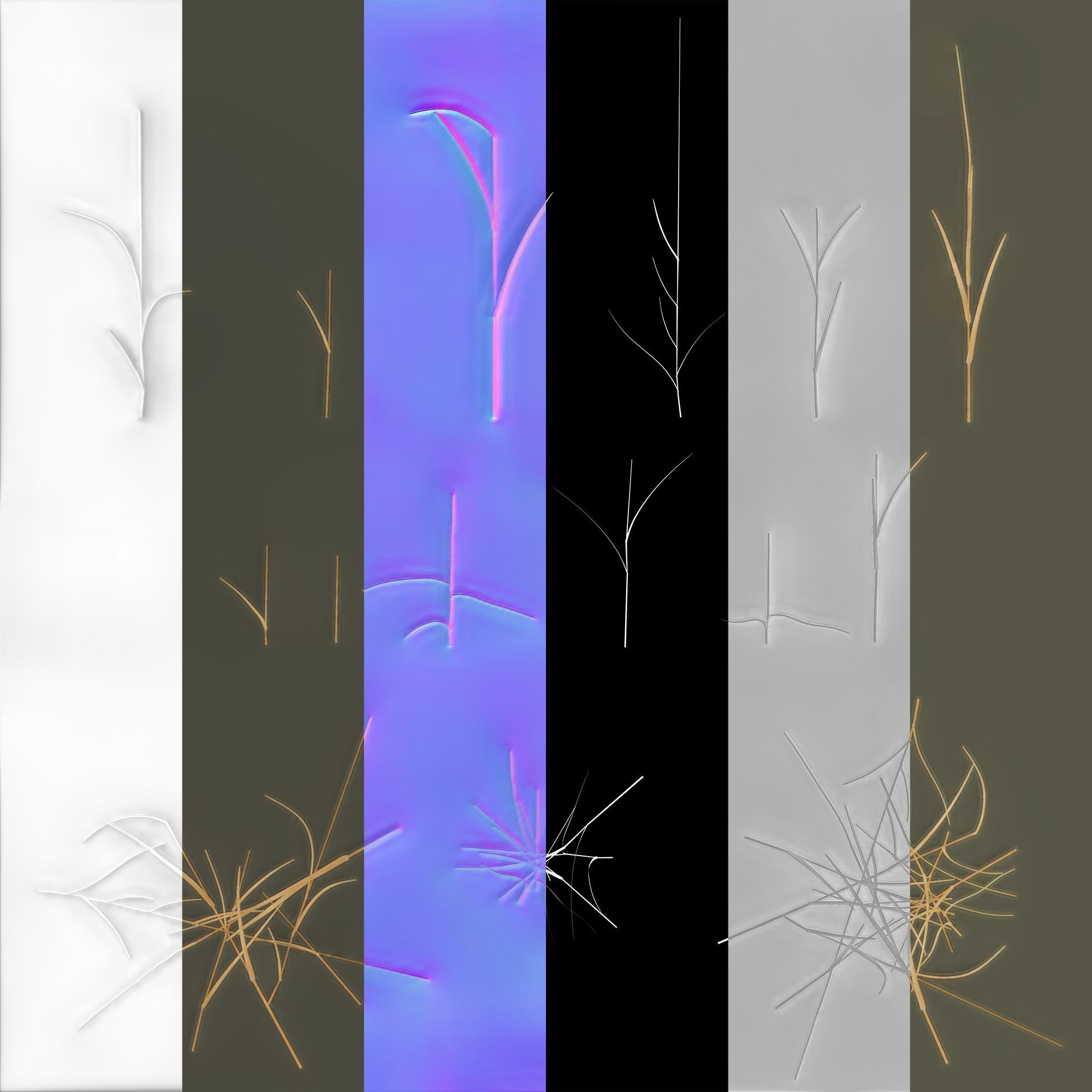 Dry St Johns Wort and Free Gift 3D model_18