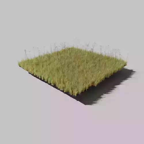 Dry St Johns Wort and Free Gift 3D model