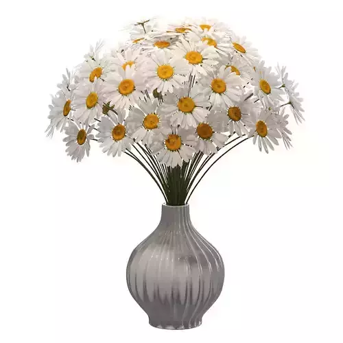 Chamomile in vase 3D model