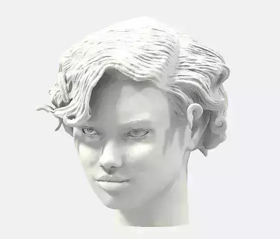 Female Model Head Sculpt Adriana Lima 3D print model
