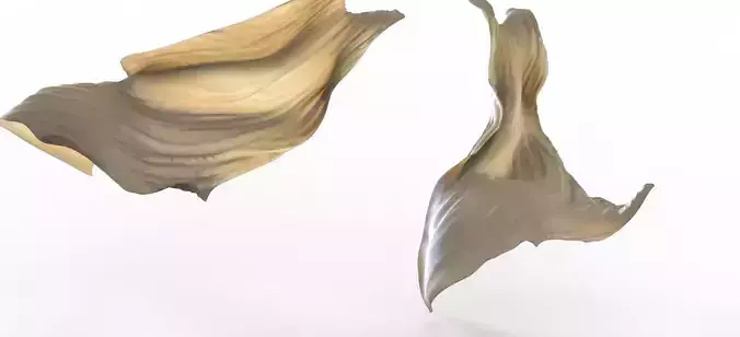 Curtains Fabric in breeze 3D model