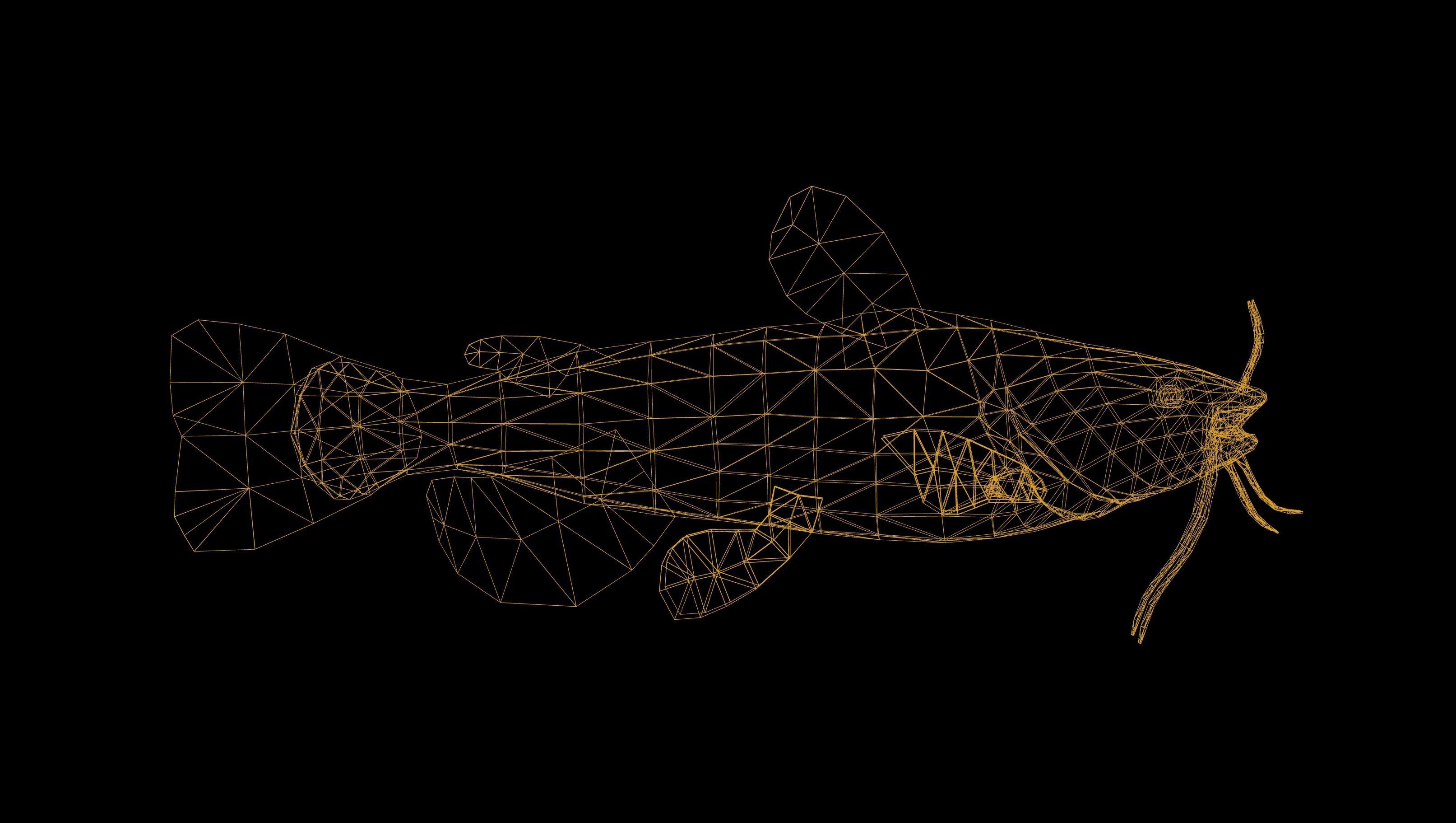 Catfish with Swimming Animation Low-poly 3D model_4