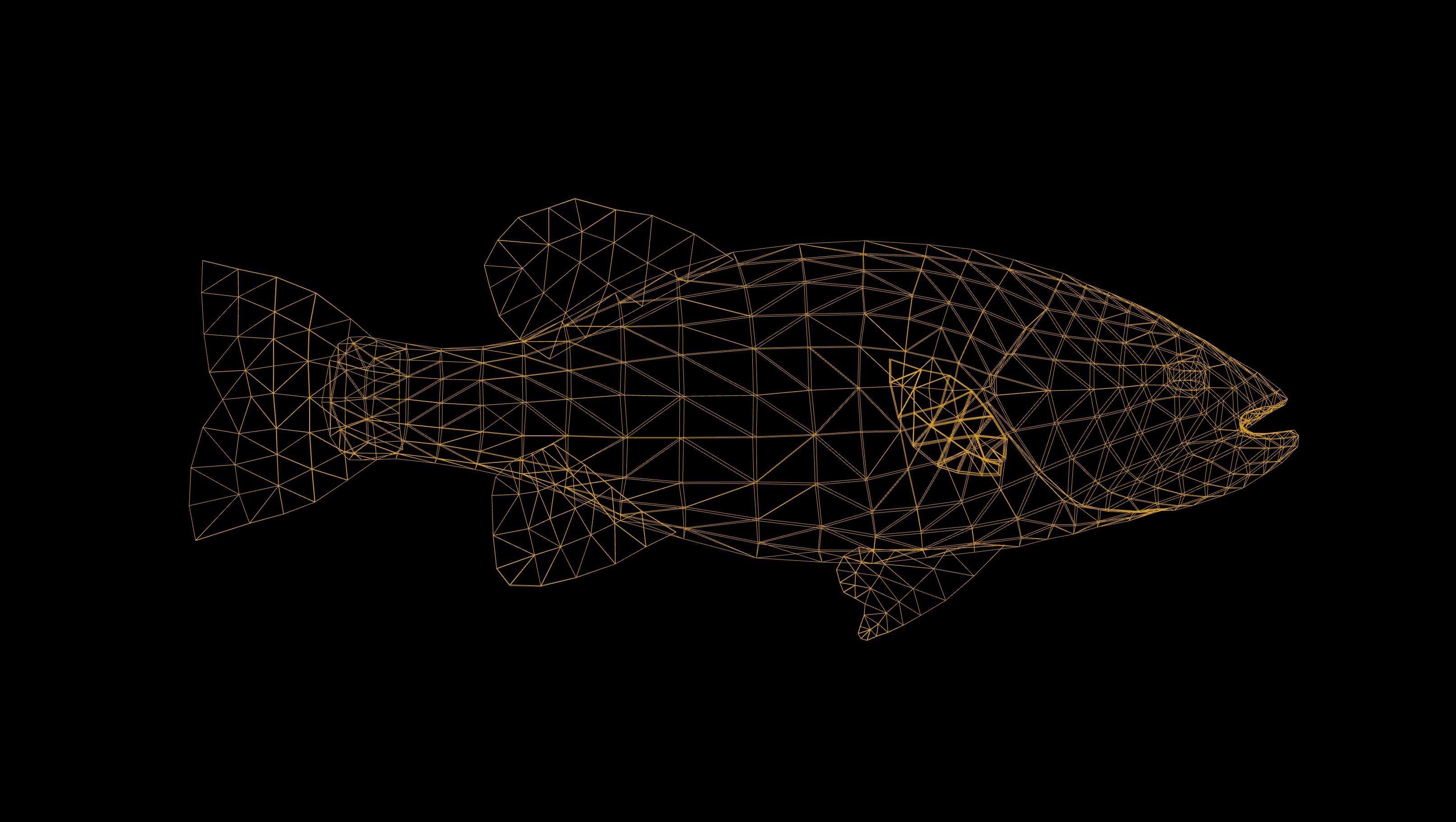 Large Mouth Bass Fish with Swimming Animation Low-poly 3D model_4