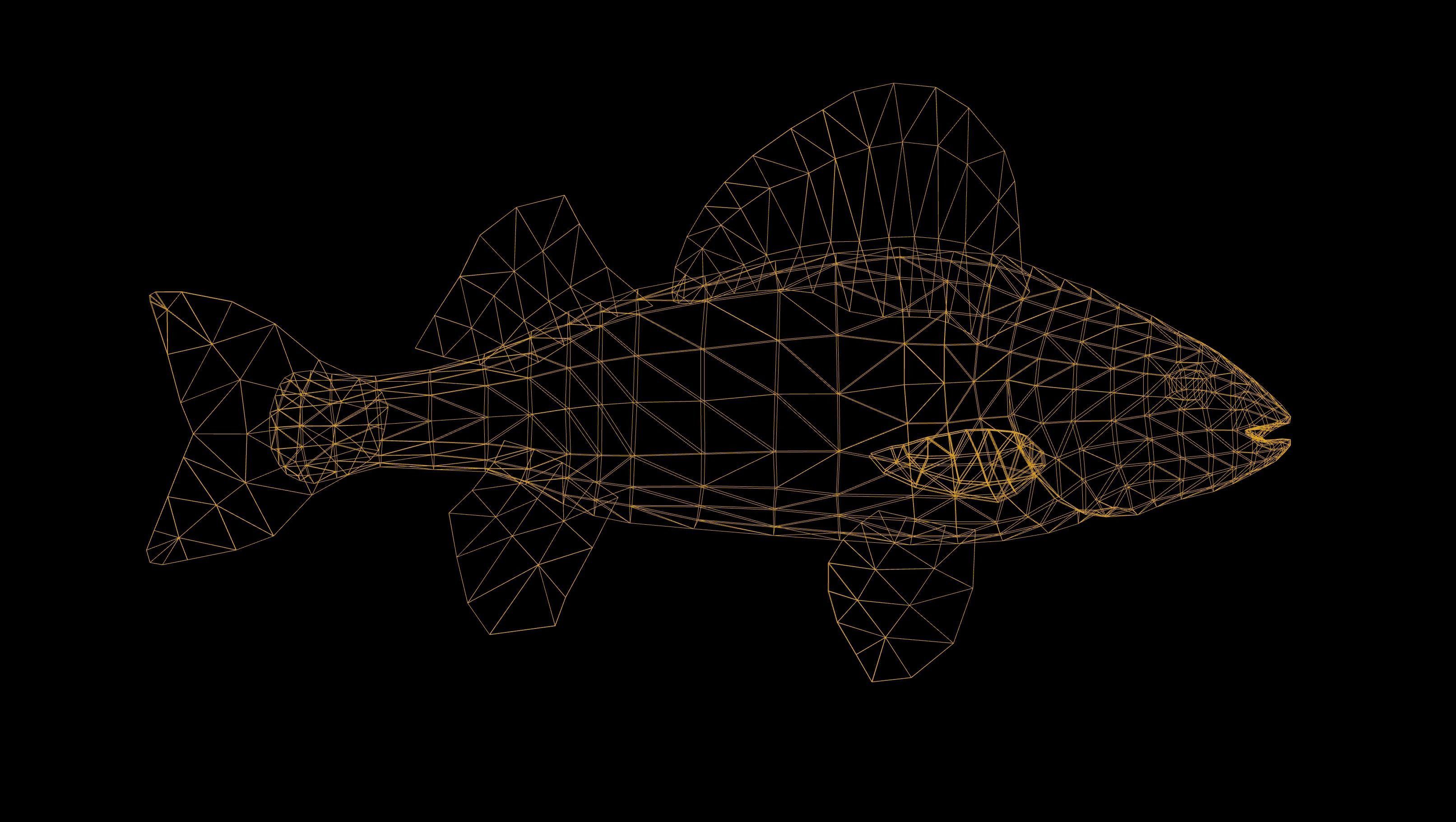 Yellow Perch Fish with Swimming Animation Low-poly 3D model_4