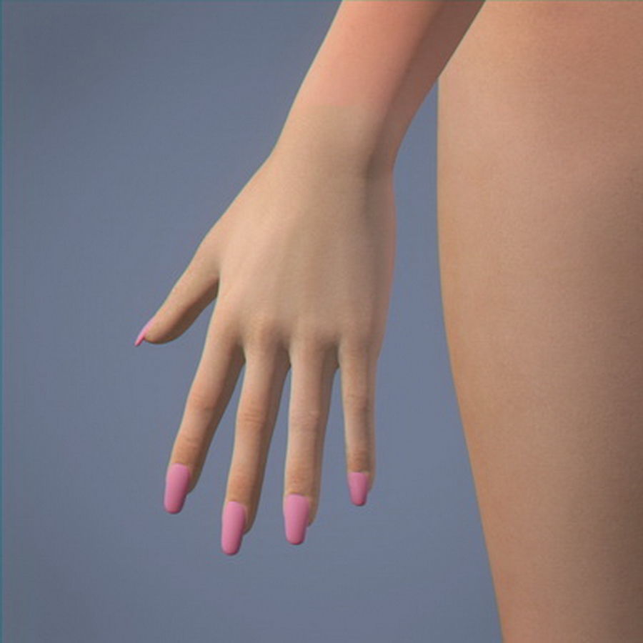 Pack - Adult Male and Female 3D model_46