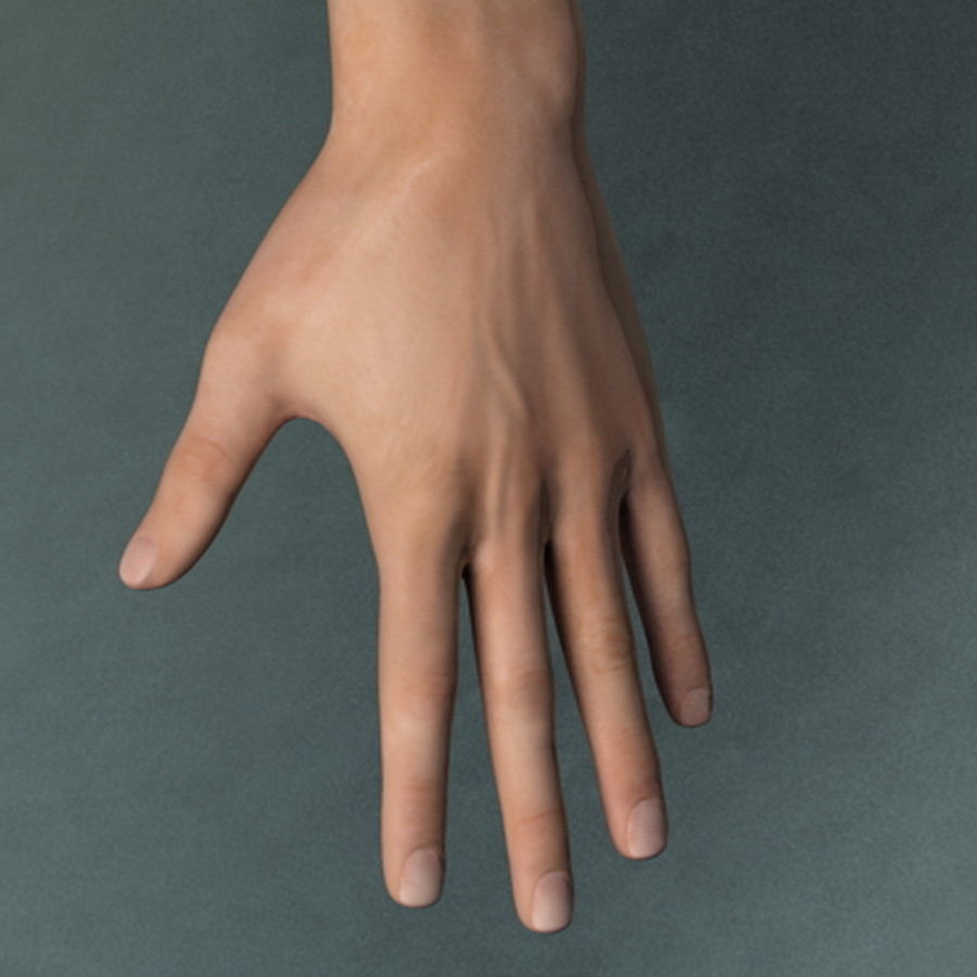 Pack - Adult Male and Female 3D model_21