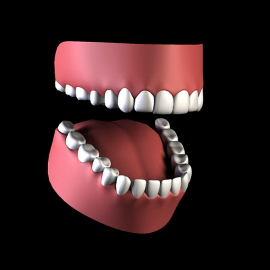 Pack - Adult Male and Female 3D model_23