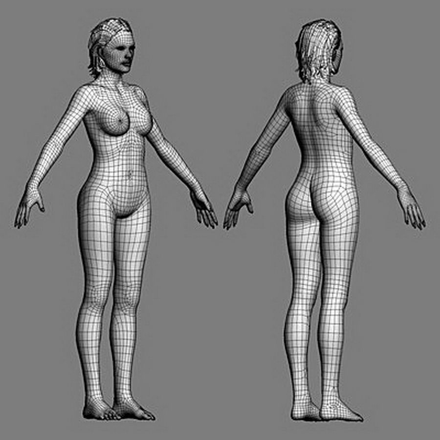 Pack - Adult Male and Female 3D model_51