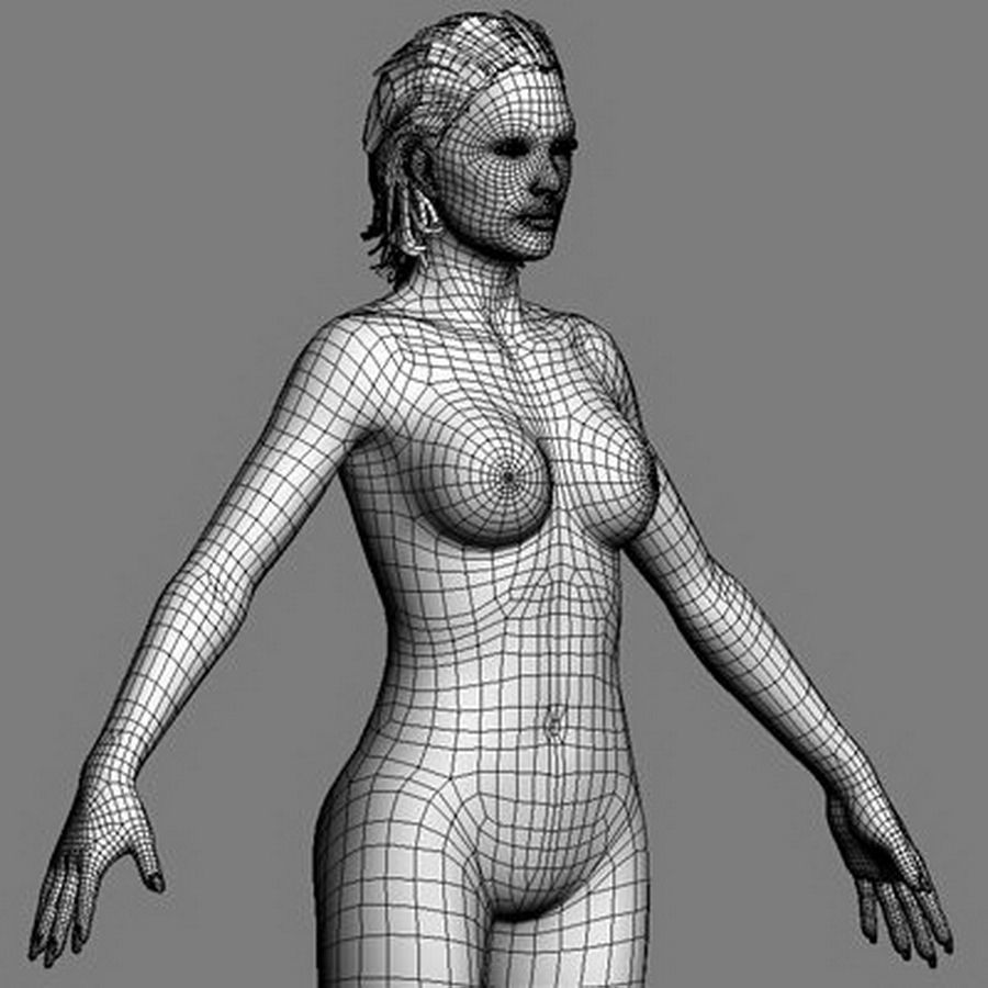 Pack - Adult Male and Female 3D model_49