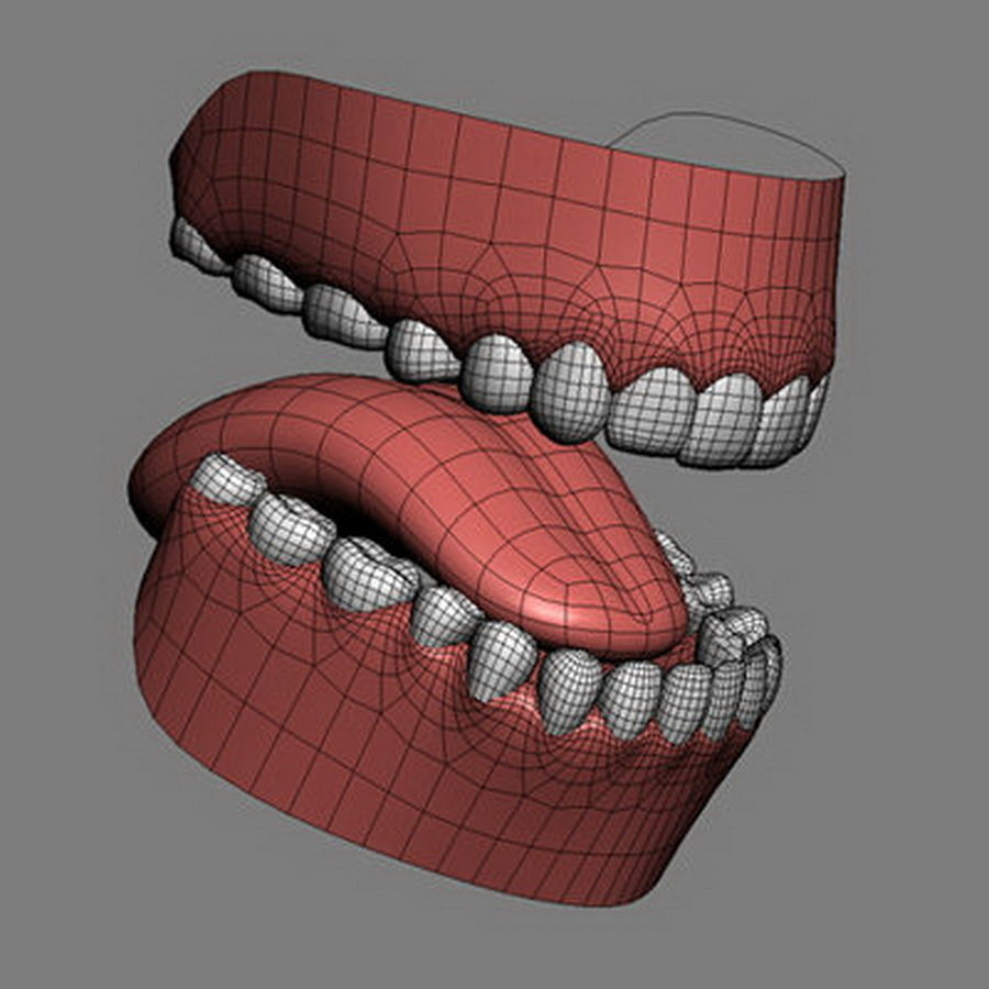 Pack - Adult Male and Female 3D model_52