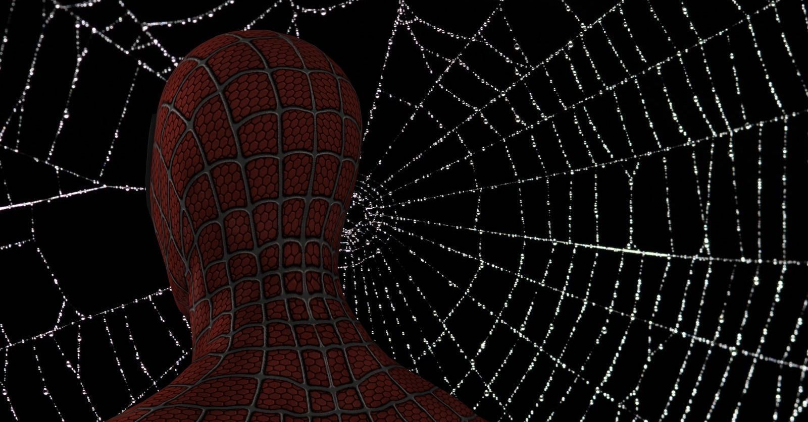 Spider Man 2002 Free low-poly 3D model_3