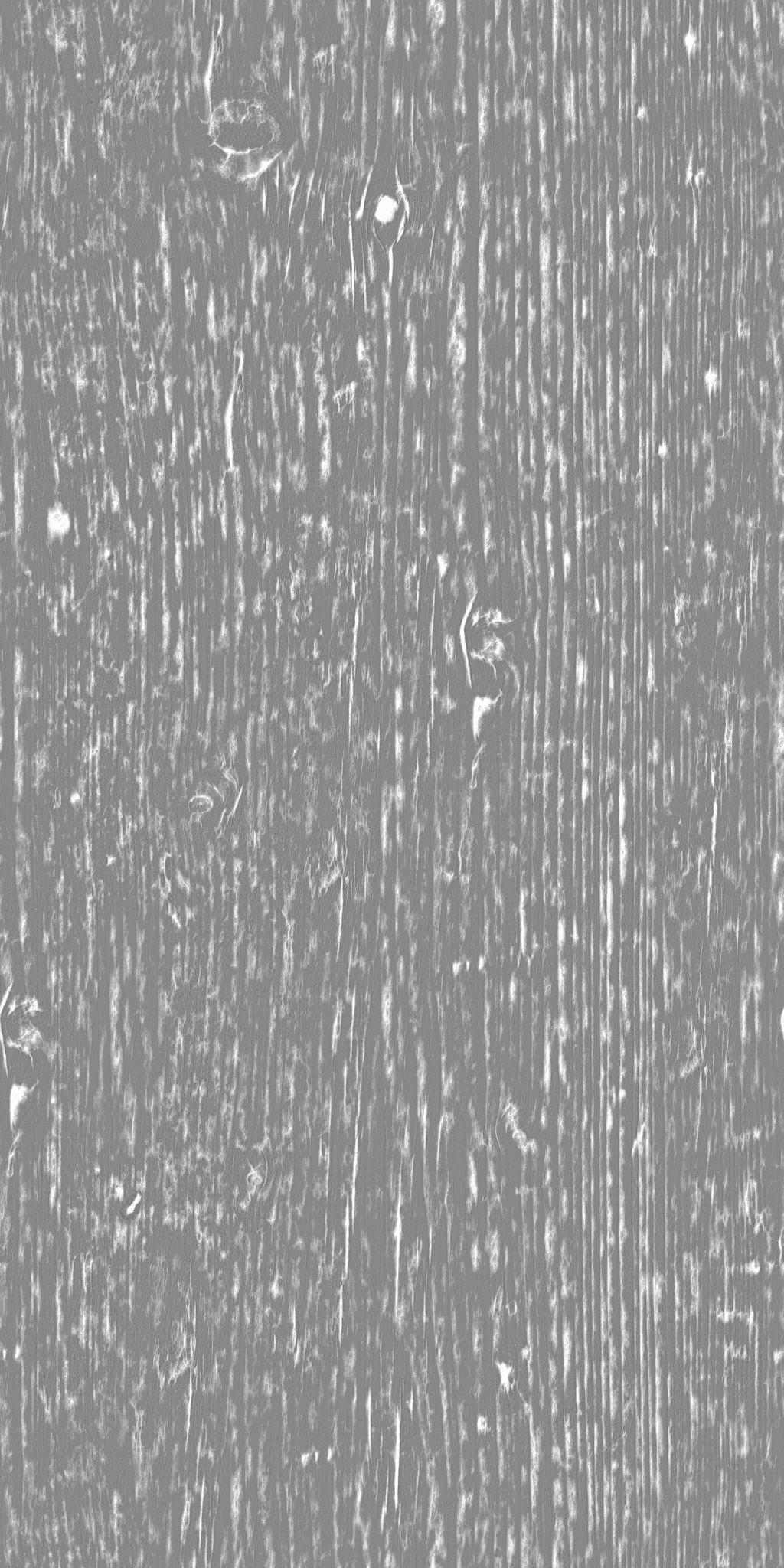 Old Building 3D model_13