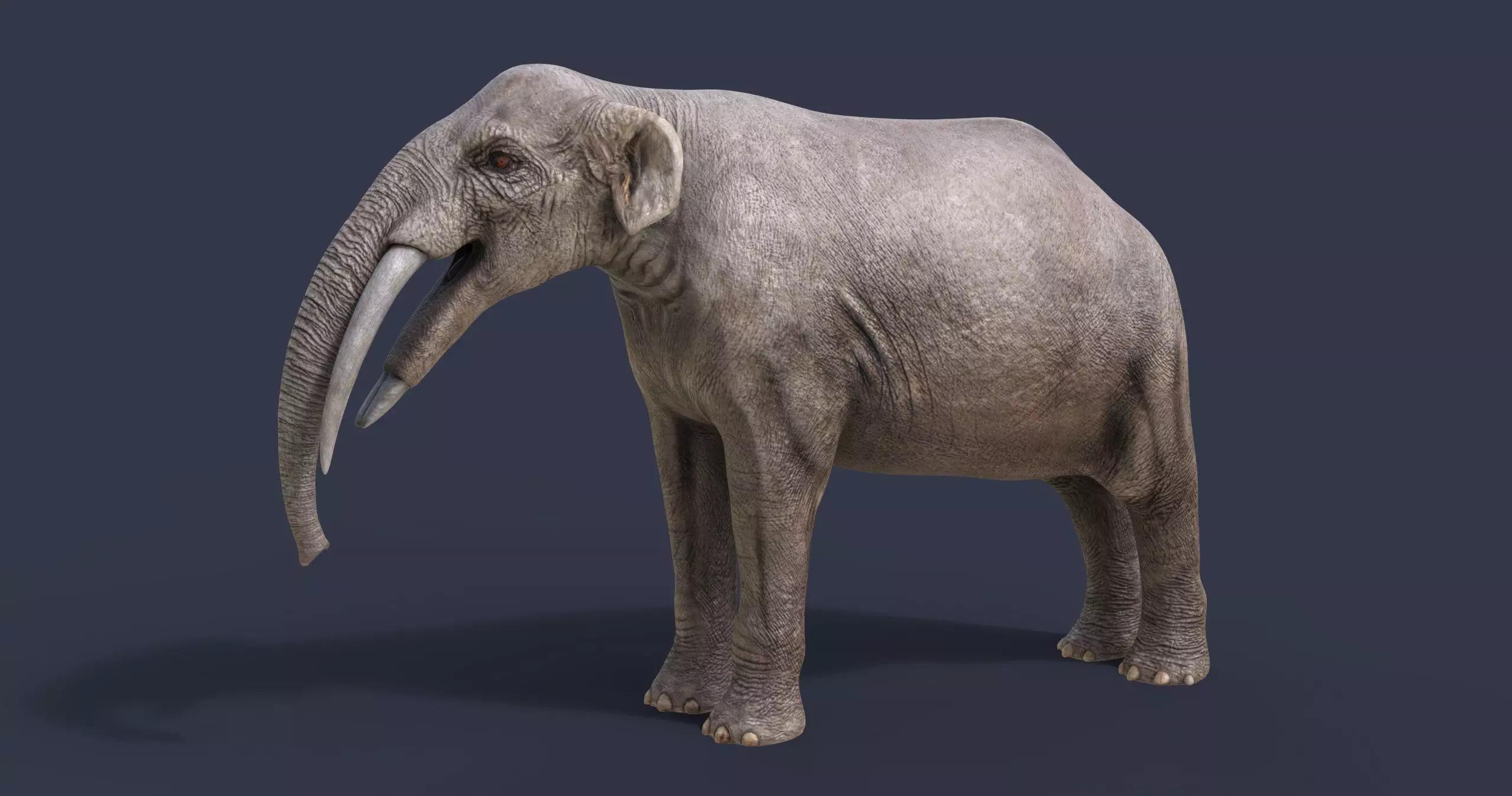 Gomphotherium steinheimense 3D model_0