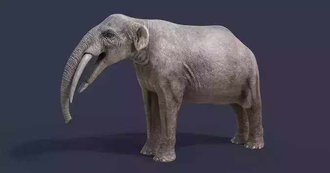 Gomphotherium steinheimense