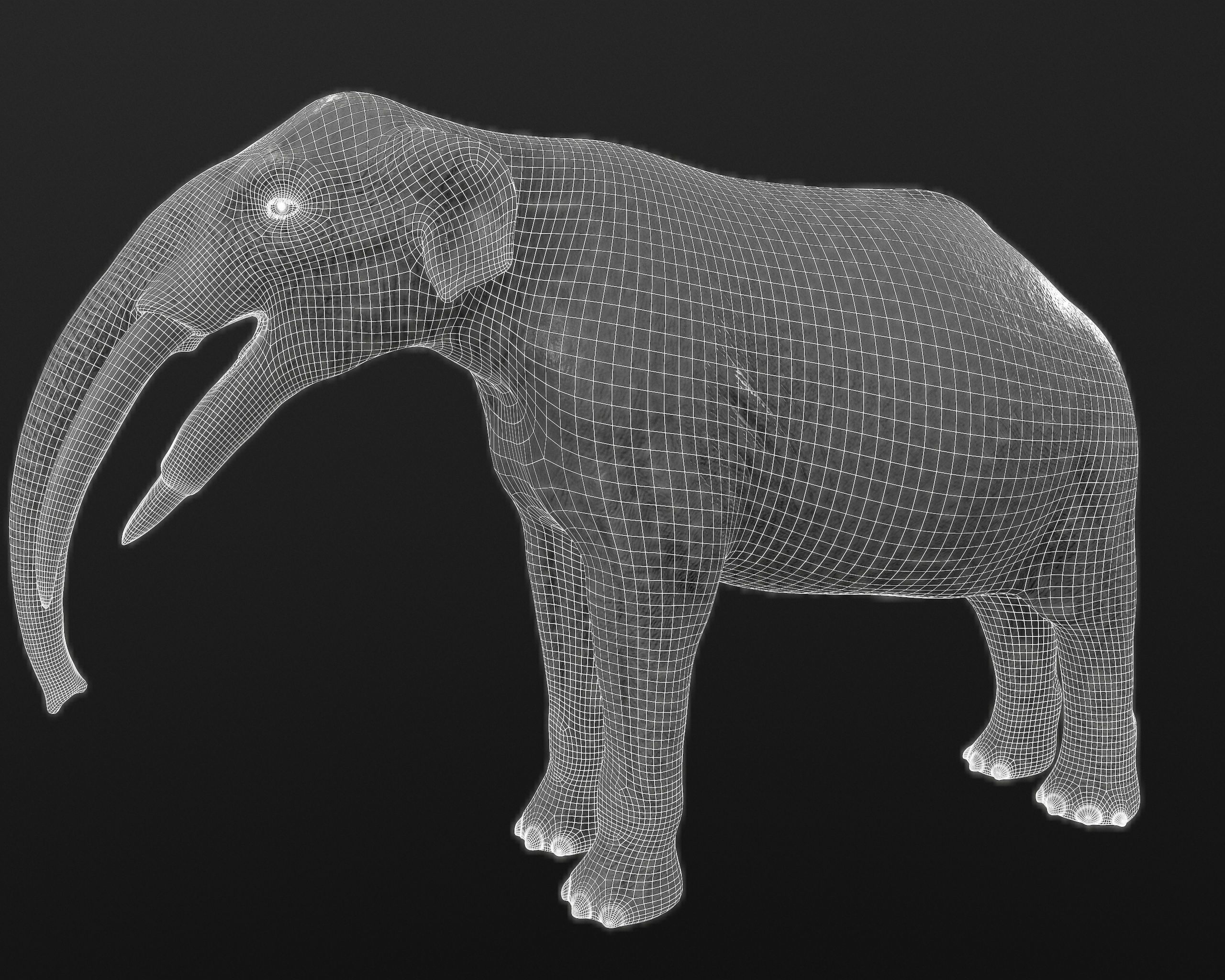 Gomphotherium steinheimense 3D model_6