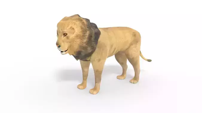 3D Lion Model Low-poly 3D model