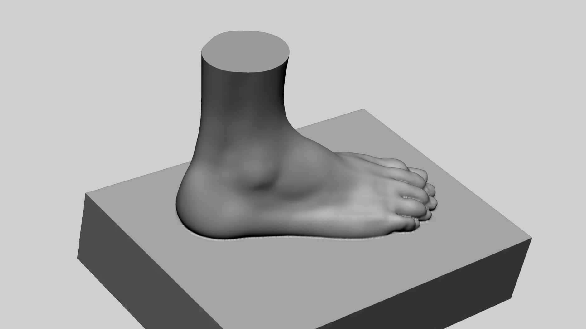 Female Foot Printable 3D print model_2