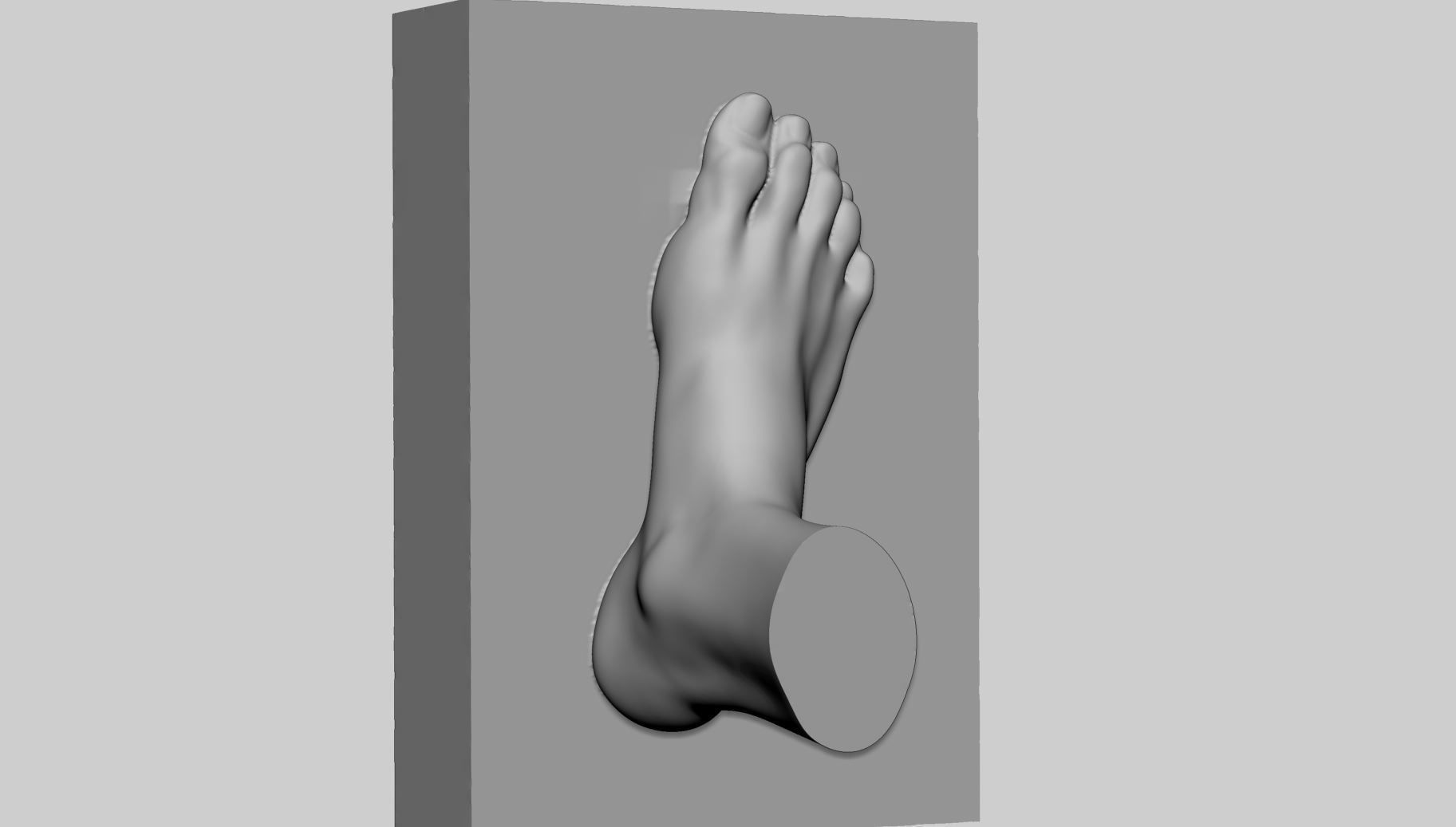 Female Foot Printable 3D print model_3