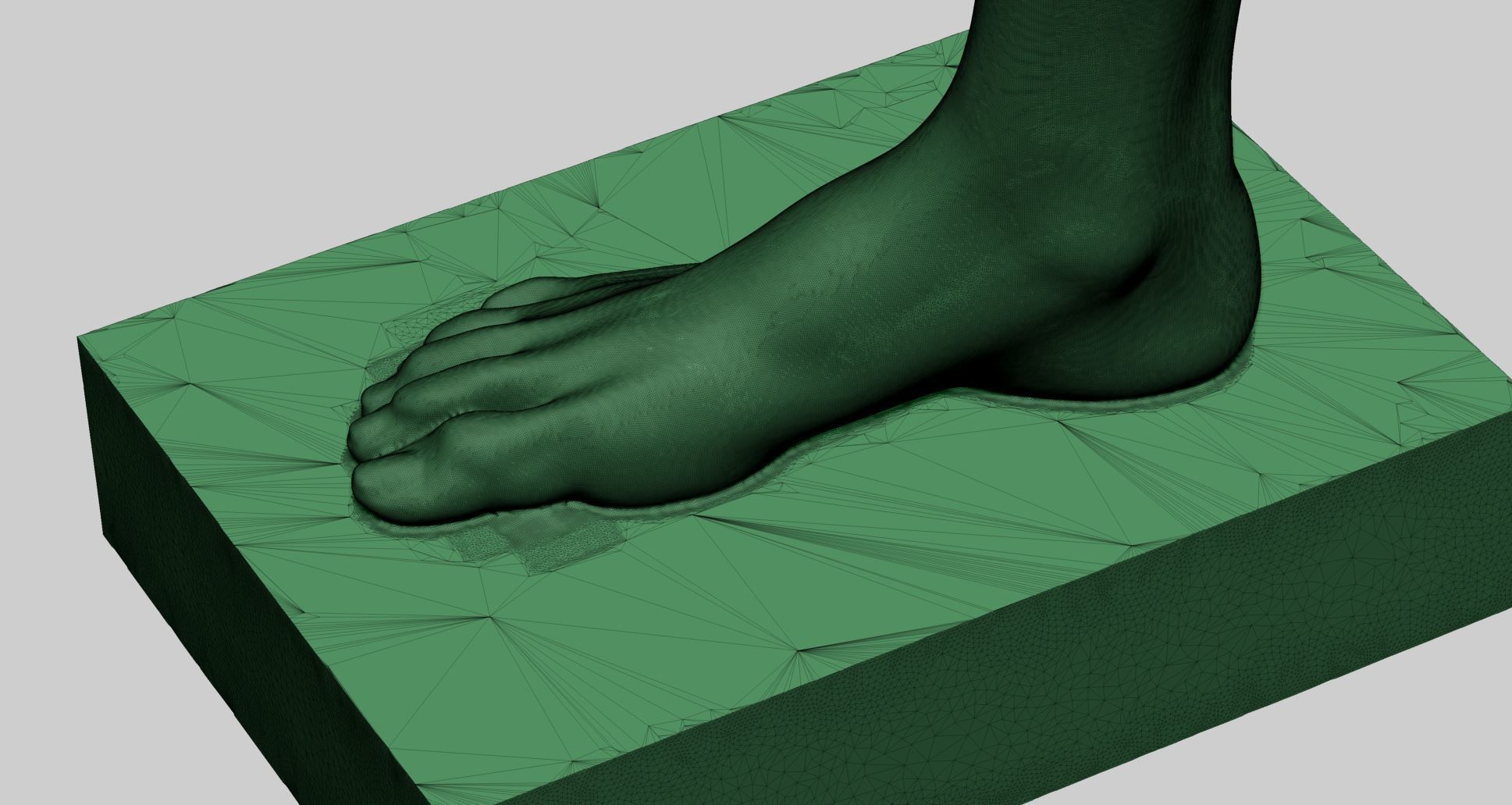 Female Foot Printable 3D print model_8