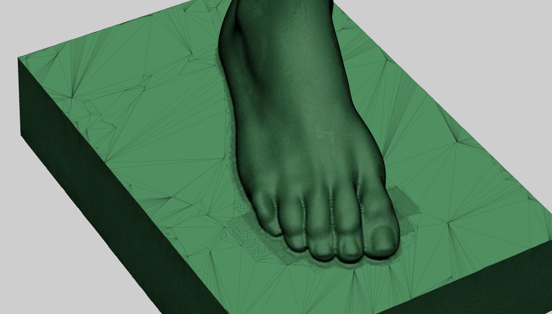 Female Foot Printable 3D print model_7