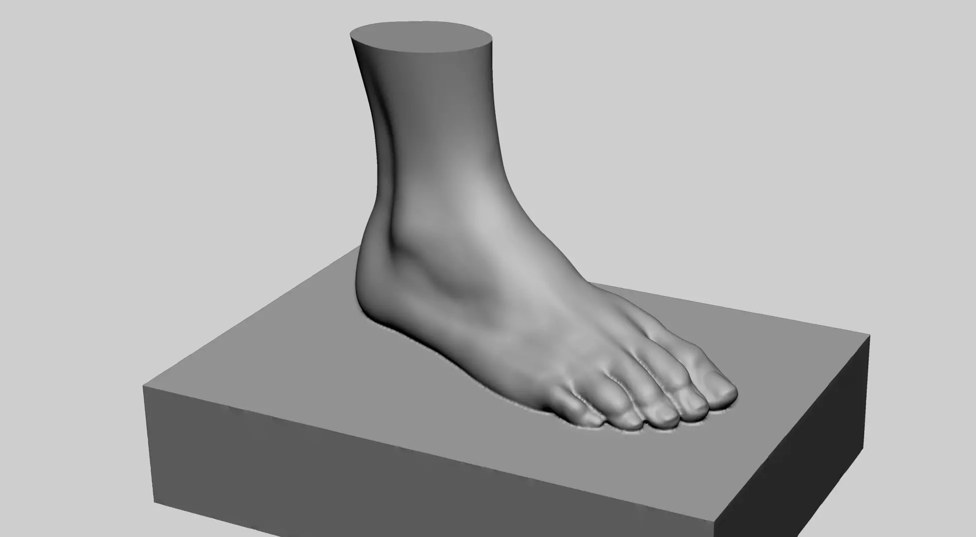 Female Foot Printable 3D print model_0