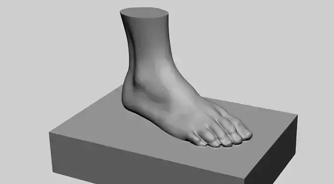 Female Foot Printable 3D print model