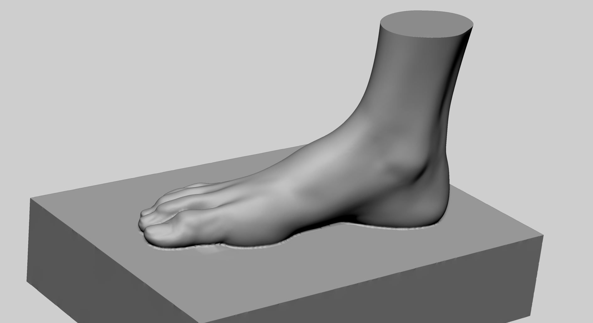 Female Foot Printable 3D print model_5