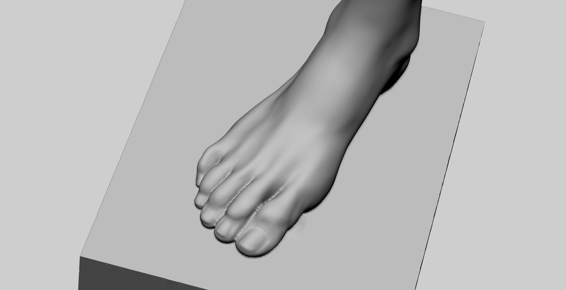 Female Foot Printable 3D print model_6