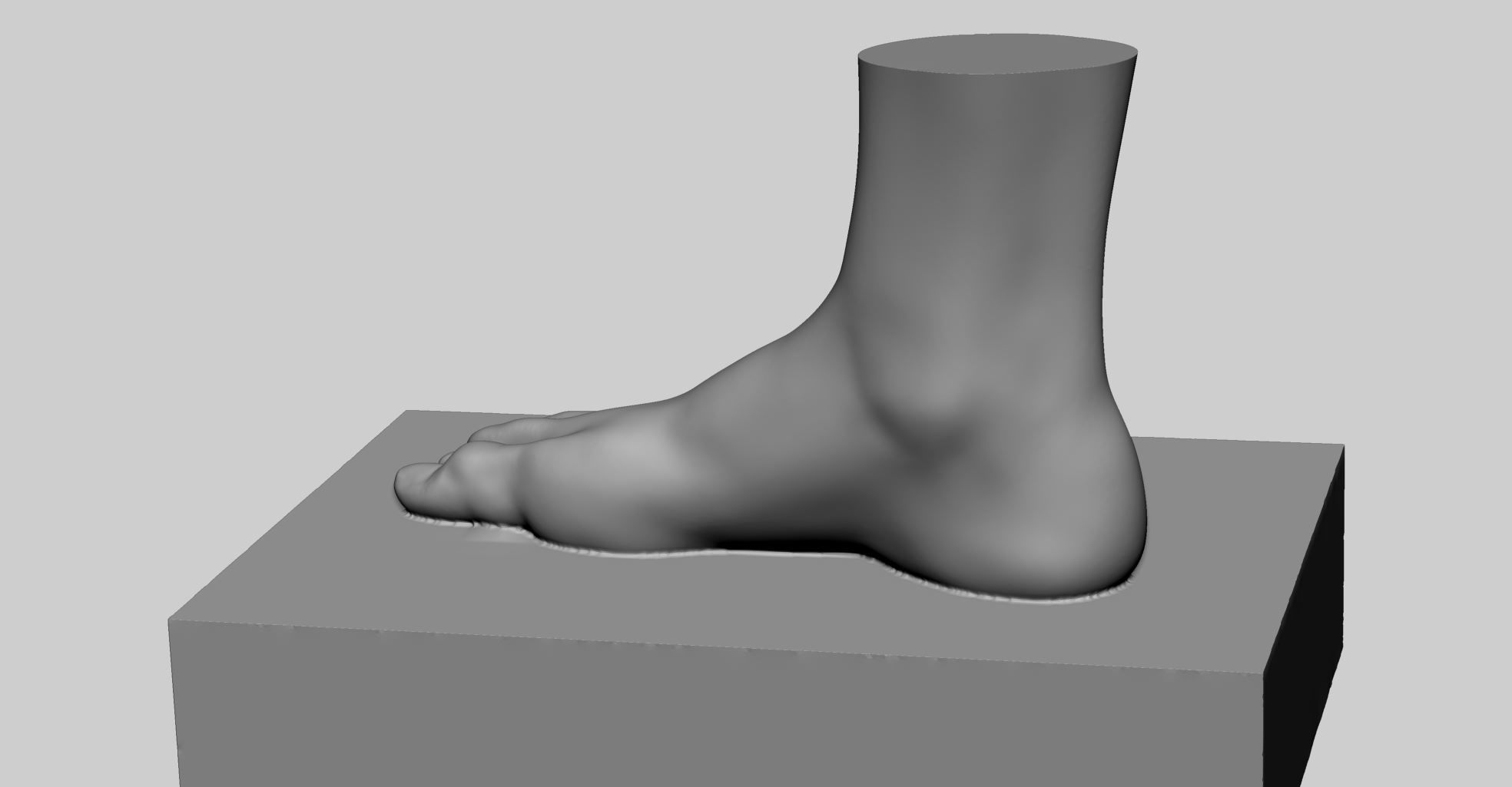 Female Foot Printable 3D print model_4