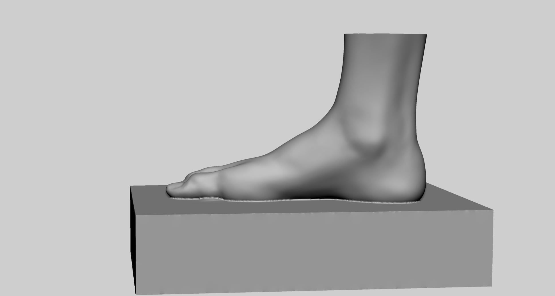 Female Foot Printable 3D print model_9