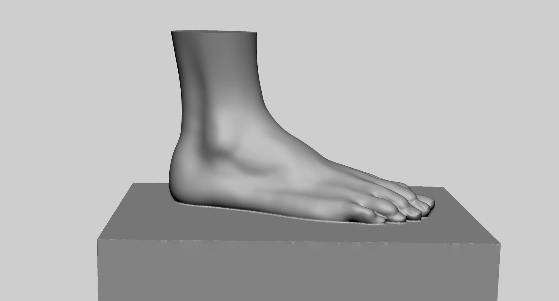 Female Foot Printable 3D print model_1
