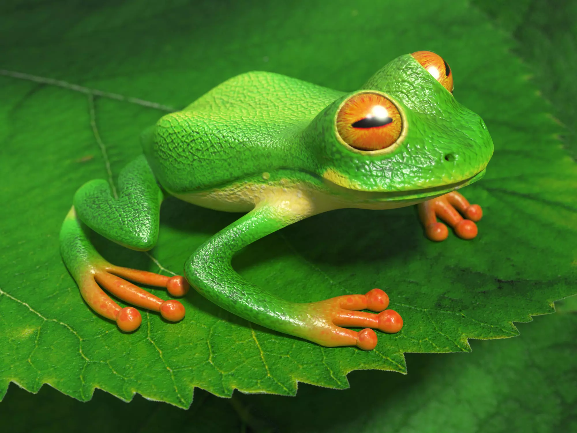 Tree frog Low-poly 3D model_0