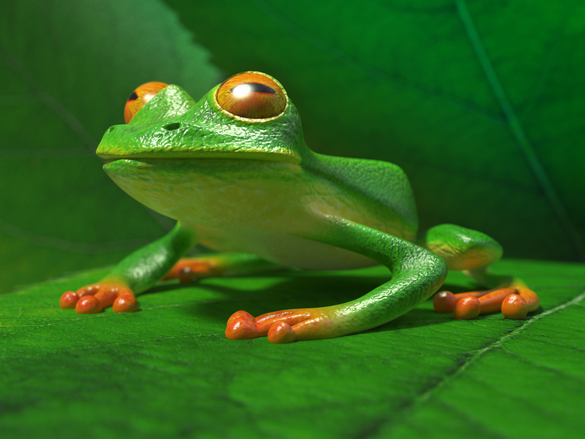 Tree frog Low-poly 3D model_3