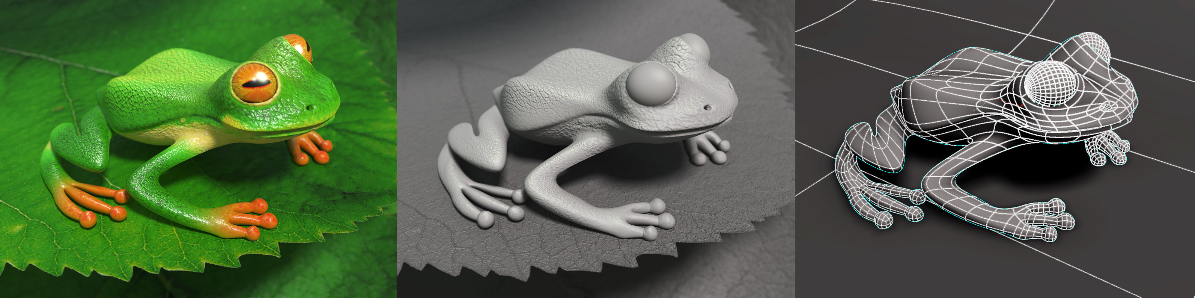 Tree frog Low-poly 3D model_13