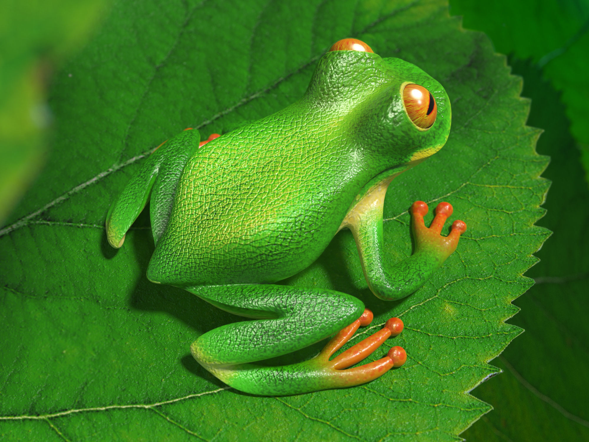 Tree frog Low-poly 3D model_2