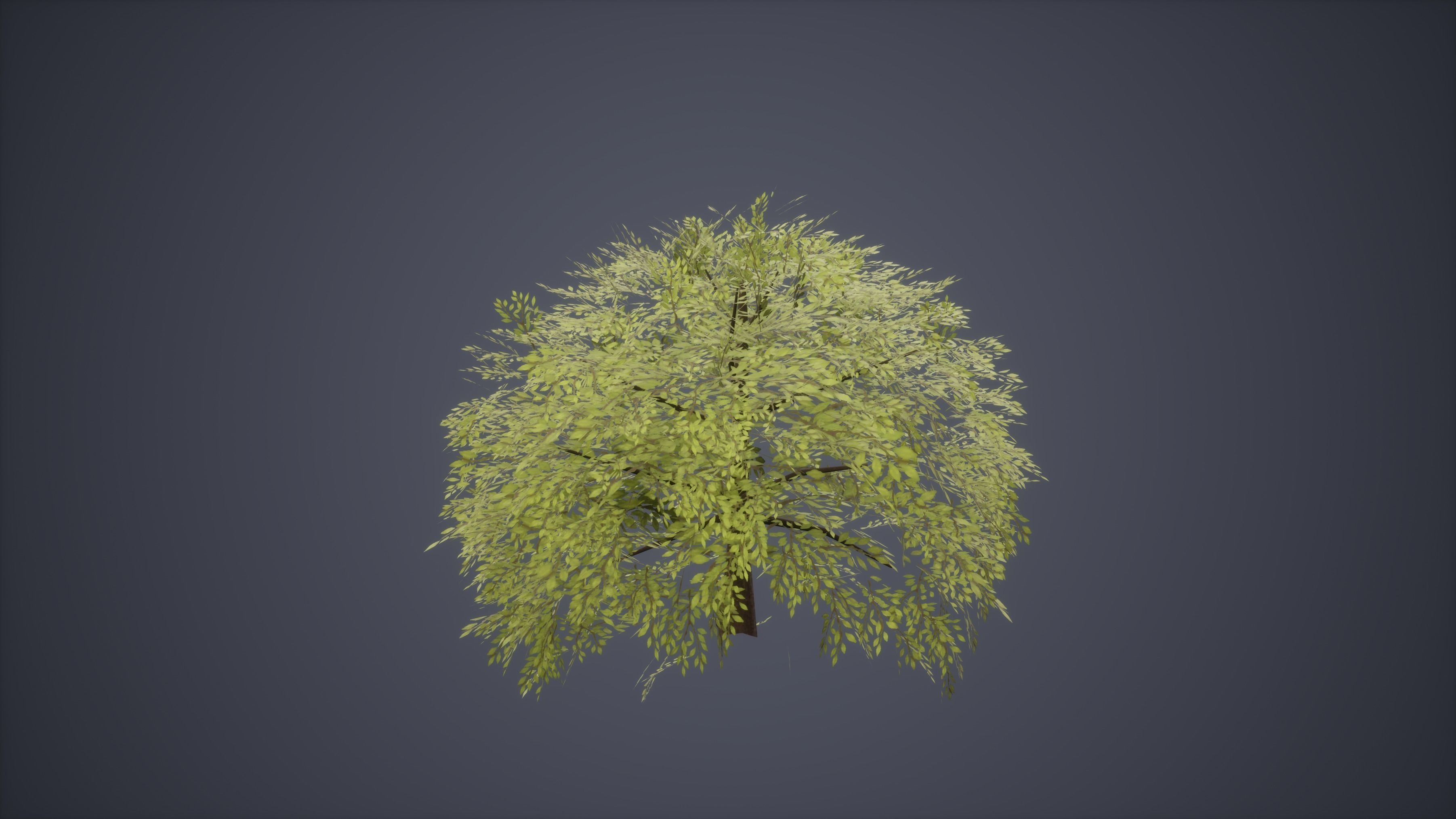 Bush Set Low Poly Game Ready willow tree Low-poly 3D model_3