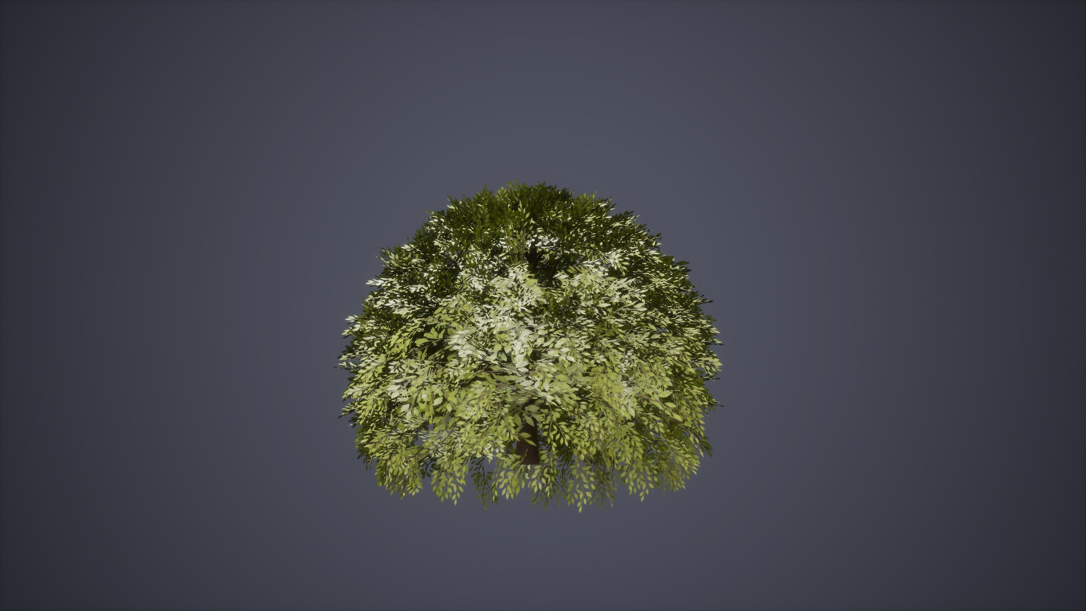 Bush Set Low Poly Game Ready willow tree Low-poly 3D model_2