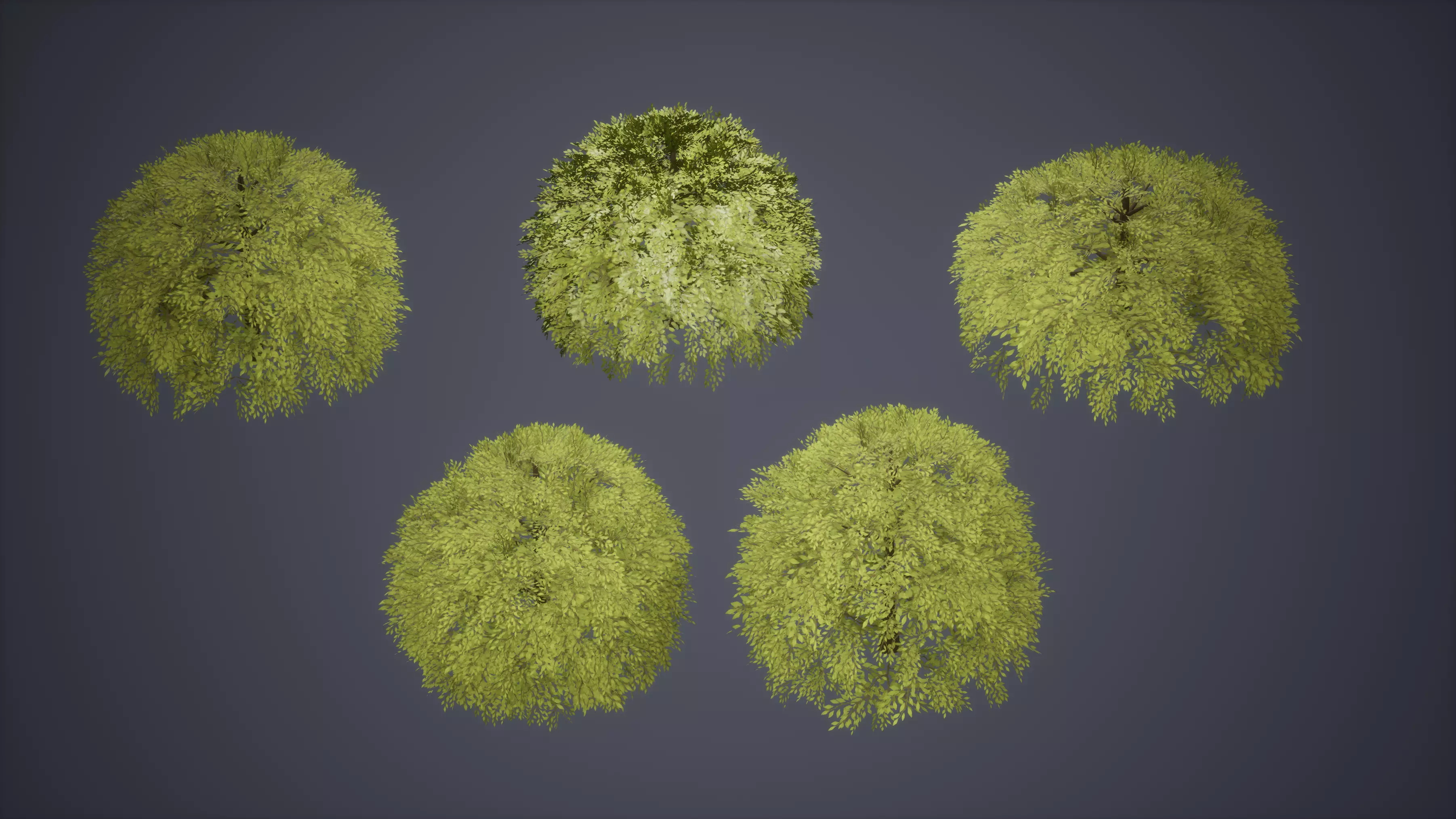 Bush Set Low Poly Game Ready willow tree Low-poly 3D model_0