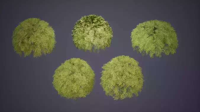 Bush Set Low Poly Game Ready willow tree Low-poly 3D model