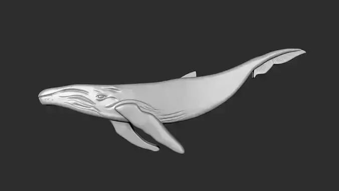 STL models for 3D printing and CNC whale