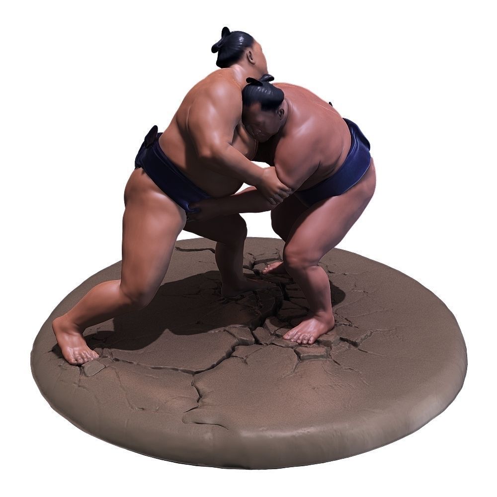 Sumo Fight Scene 3D print model_1