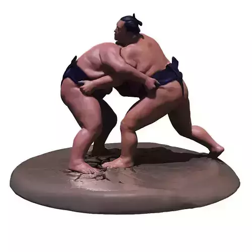 Sumo Fight Scene 3D print model