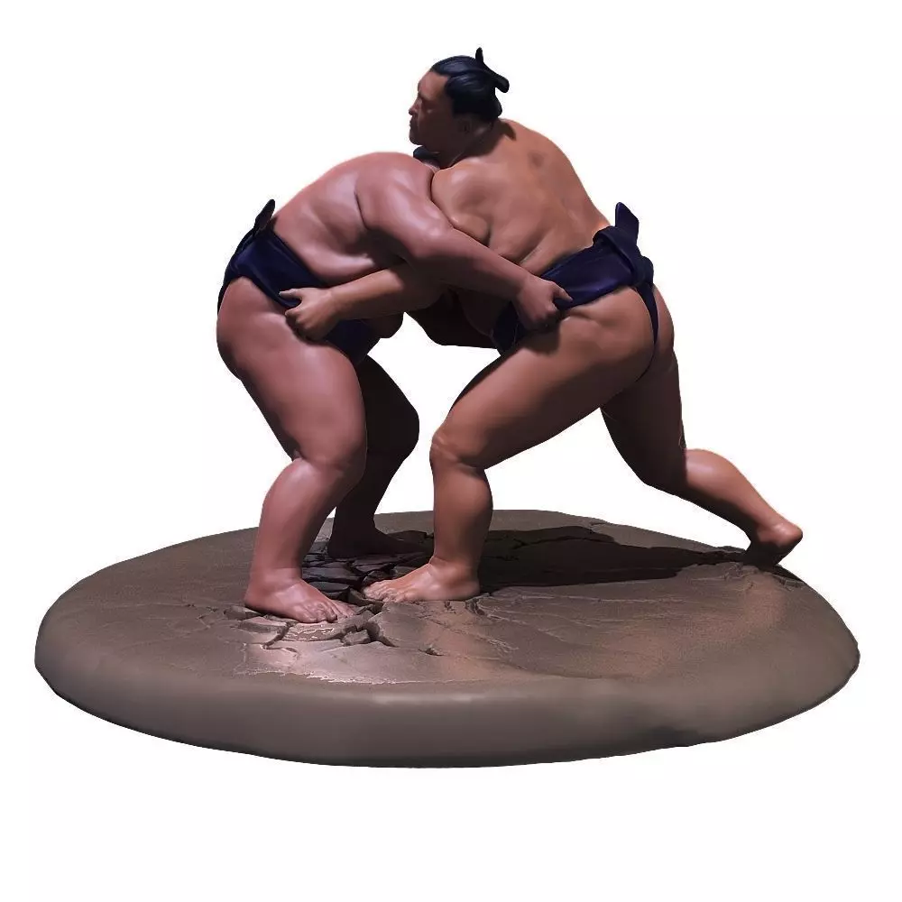 Sumo Fight Scene 3D print model_0