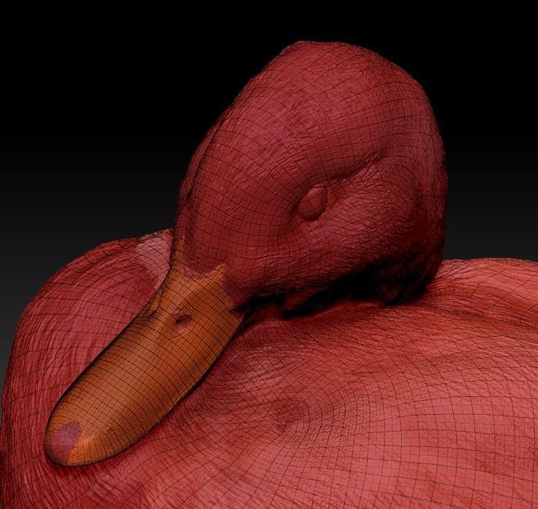 Duck 16 Low-poly 3D model_5