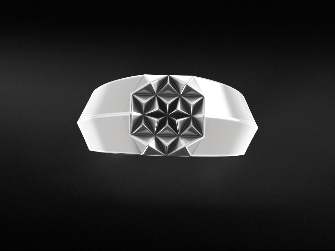 Exclusive collection from designer Vins 647 3D print model_6